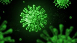 Covıd- 19'un melez mutantı 'XE'ye dikkat