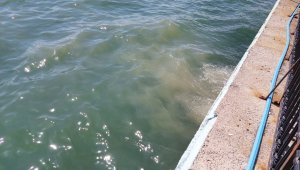 Yağmur suyu hattına kanalizasyon atıklarının karışması sebebiyle denize pislik akıyor