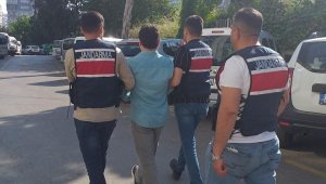 12 ilde DEAŞ operasyonu