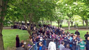 Organik domates fidesi almak için metrelerce kuyruk oluşturdular