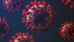 Son 24 saatte korona virüsten 5 kişi hayatını kaybetti