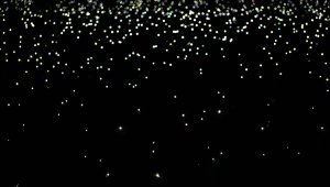 Trabzonspor'un şampiyonluk kutlamasında ışık şov