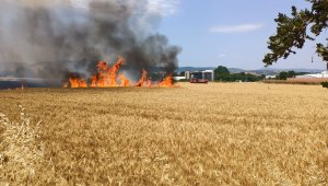 40 dönüm buğday tarlası kül oldu
