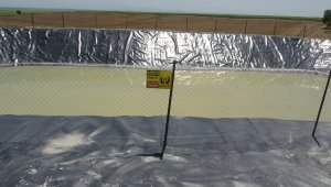 Adana'da bulunan petrol köylüleri sevindirdi