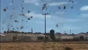 Bandırma'da hortum paniği