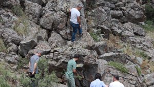 Kayseri'de şok olay: Şüphelinin itiraf ettiği vadide onlarca kemik bulundu