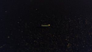 Komşular arası 'patates' kavgası: 2 yaralı