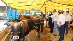 Kurbanlık hayvan alış, satış ve kesimlerinde dikkat edilecek hususlar