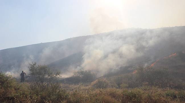 Manisa'da korkutan yangın: Yangına havadan ve karadan müdahale edildi