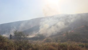 Manisa'da korkutan yangın: Yangına havadan ve karadan müdahale edildi