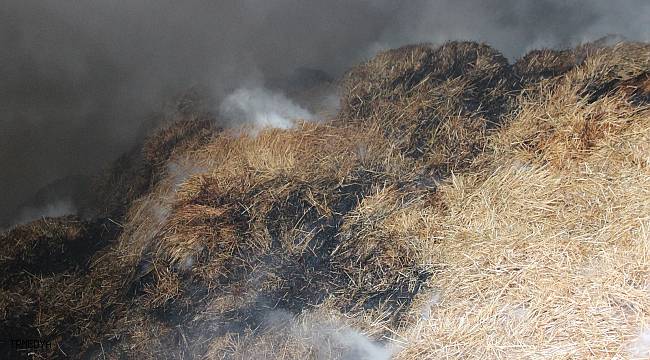 Manisa'da saman ve buğday deposunda yangın çıktı