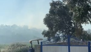 Milas'ta 50 dönüm zeytinlik alan yangında zarar gördü