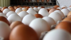 Rekabet Kurulu yumurta üreticileri ve yumurta birliklerini merceğe aldı