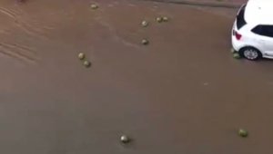 Selde sürüklenen karpuzları vatandaşlar kurtarmaya çalıştı