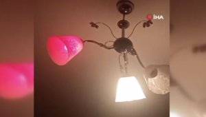 Van'da 5.0 büyüklüğünde deprem