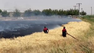 Yüksek gerilim hattı buğday tarlasını kül etti