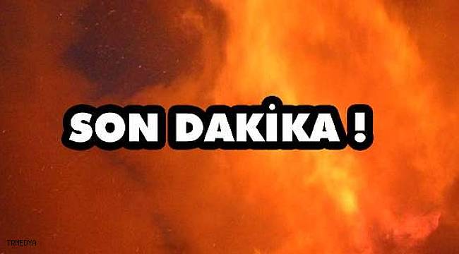 Ankara Toptancı Halinde yangın çıktı