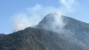 Antalya'da orman yangını
