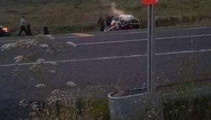 Başıboş hayvan zincirleme kazaya neden oldu, 5 araç birbirine girdi