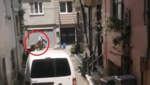 Bursa'da kaçan kurbanlıklar vatandaşlara zor anlar yaşattı