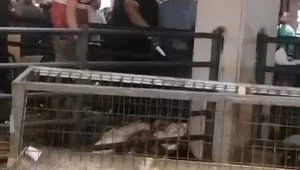 Bursa'da kavgada kurban pazarı savaş alanına döndü