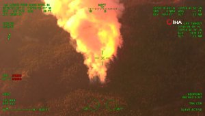 California'daki orman yangını, dev sekoya ağaçlarını tehdit ediyor