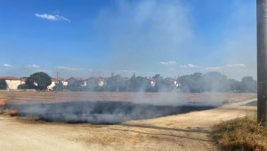 Çanakkale'de çocukların attığı torpil yangın çıkardı