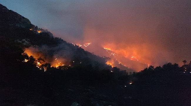 Datça'daki orman yangınında çalışmalar gece de devam ediyor