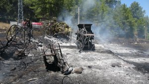 Elektrik tellerine çarpan kuş yangına sebep oldu