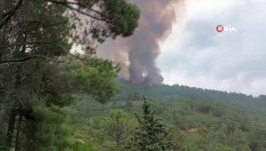 İspanya'da orman yangınları artıyor: Yüzlerce kişi tahliye edildi