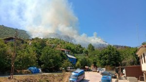 İzmir'de yangınlara erken müdahale felaketi önlüyor