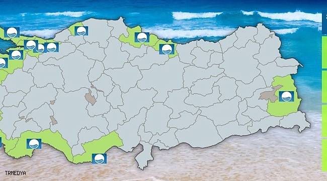 Karadeniz'e en çok kıyısı olan Sinop'ta 'mavi bayrak' yok