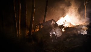 Portekiz'de 14 noktada orman yangını