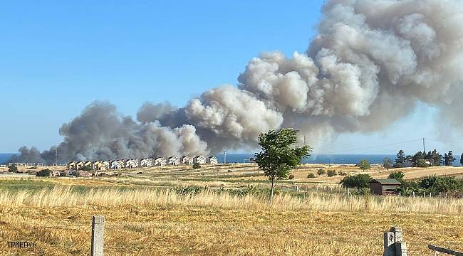 Silivri'de buğday tarlası alev alev yandı