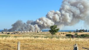 Silivri'de buğday tarlası alev alev yandı