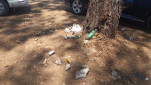 Yangından sonra dikilen fidanların üzerine araçlarını park ettiler